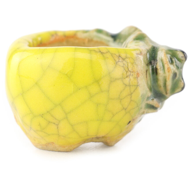 Maceta redonda amarilla y verde para bonsái de Masashi Furumoto - 24 x 24 x 18 mm