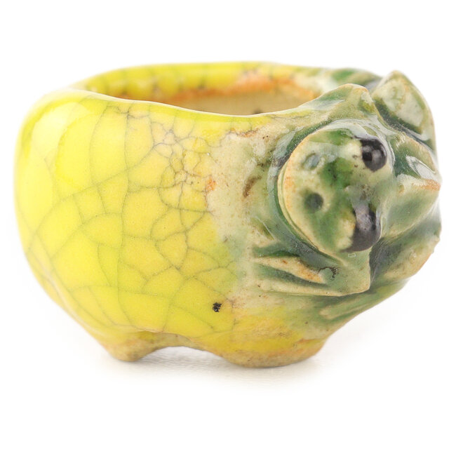 Ronde geel-groene bonsaipot van Masashi Furumoto - 24 x 24 x 18 mm