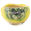 Pot à bonsaï rond jaune et vert de Masashi Furumoto - 24 x 24 x 18 mm