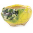 Pot à bonsaï rond jaune et vert de Masashi Furumoto - 24 x 24 x 18 mm