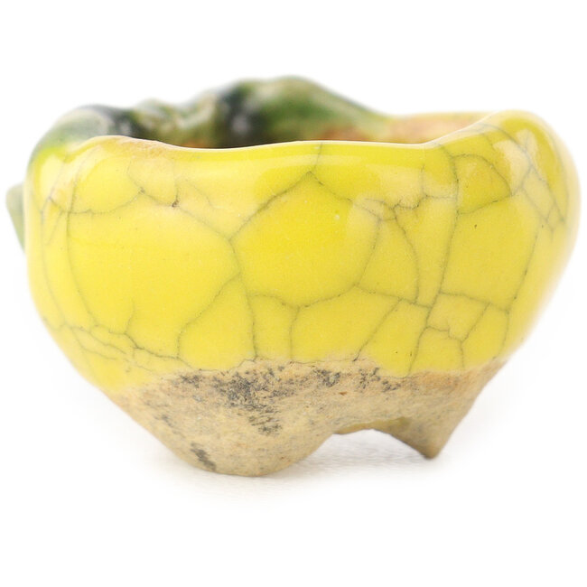 Ronde geel-groene bonsaipot van Masashi Furumoto - 24 x 24 x 18 mm