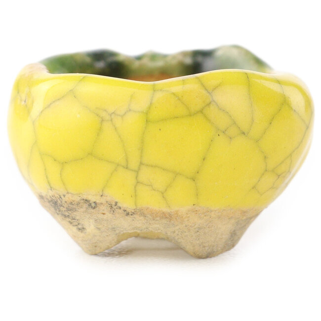 Maceta redonda amarilla y verde para bonsái de Masashi Furumoto - 24 x 24 x 18 mm