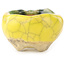 Pot à bonsaï rond jaune et vert de Masashi Furumoto - 24 x 24 x 18 mm