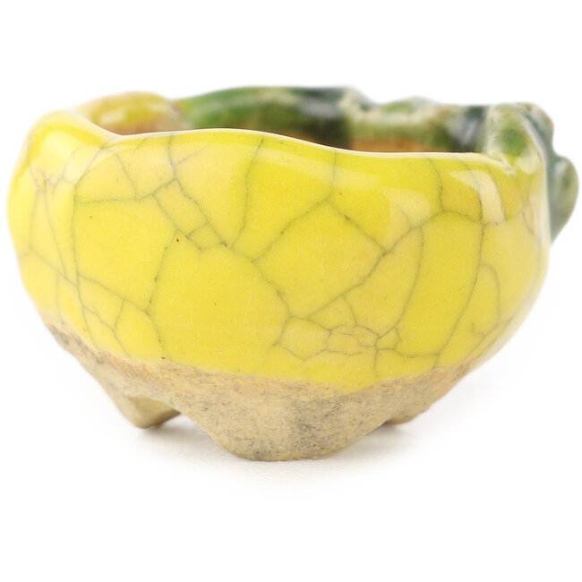 Round yellow and green bonsai pot by Masashi Furumoto - 24 x 24 x 18 mm