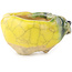 Pot à bonsaï rond jaune et vert de Masashi Furumoto - 24 x 24 x 18 mm