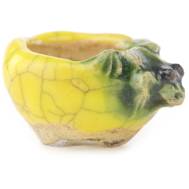 Vaso bonsai rotondo giallo e verde di Masashi Furumoto - 24 x 24 x 18 mm