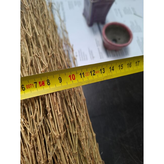 Escoba de mano tradicional japonesa de bambú para el mantenimiento preciso de bonsáis y jardines