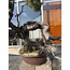 Pinus sylvestris, 100 cm, ± 100 jaar oud, met de hand gekweekt en gestyled door Mario Komsta zelf