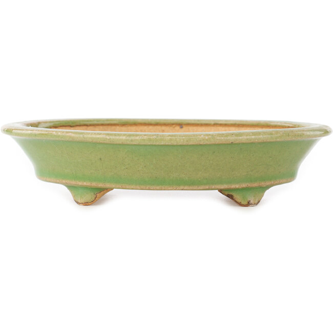 Pot à bonsaï ovale vert de Hattori - 165 x 130 x 40 mm