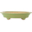 Pot à bonsaï ovale vert de Hattori - 165 x 130 x 40 mm