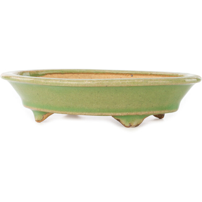 Oval green bonsai pot by Hattori - 165 x 130 x 40 mm