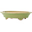Pot à bonsaï ovale vert de Hattori - 165 x 130 x 40 mm