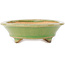 Pot à bonsaï ovale vert de Hattori - 165 x 130 x 40 mm
