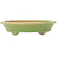 Pot à bonsaï ovale vert de Hattori - 165 x 130 x 40 mm