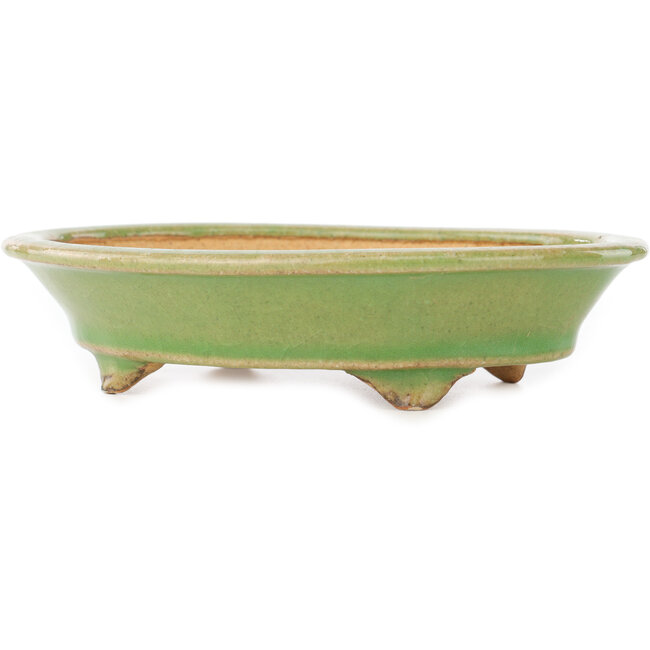 Vaso bonsai ovale verde di Hattori - 165 x 130 x 40 mm