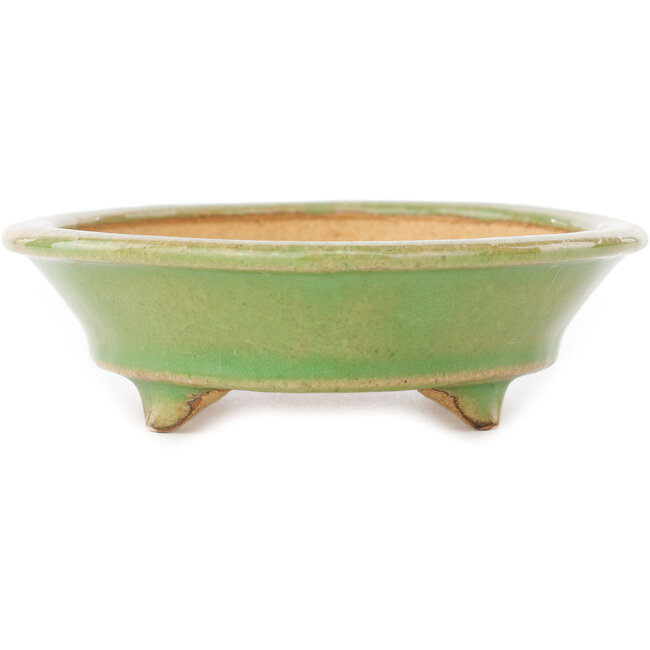 Vaso bonsai ovale verde di Hattori - 165 x 130 x 40 mm