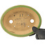 Pot à bonsaï ovale vert de Hattori - 165 x 130 x 40 mm
