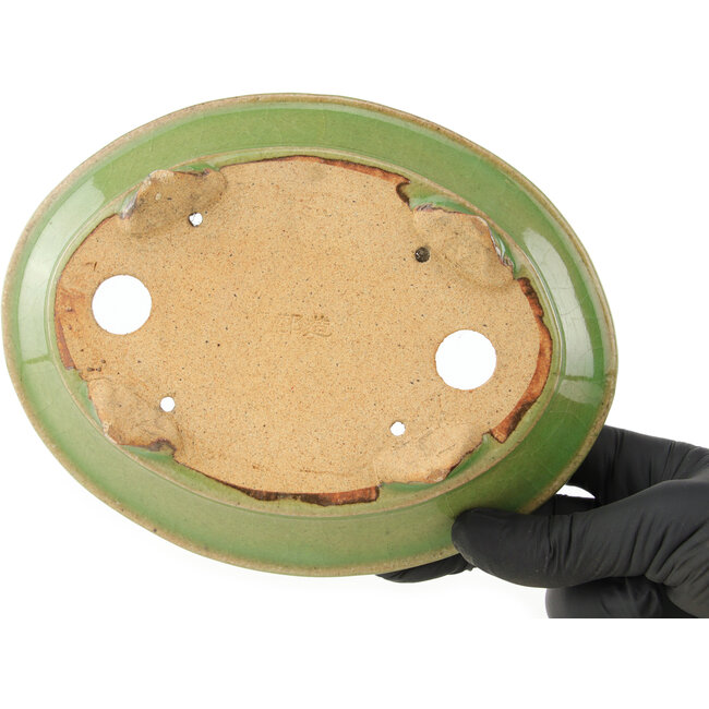 Pot à bonsaï ovale vert de Hattori - 165 x 130 x 40 mm