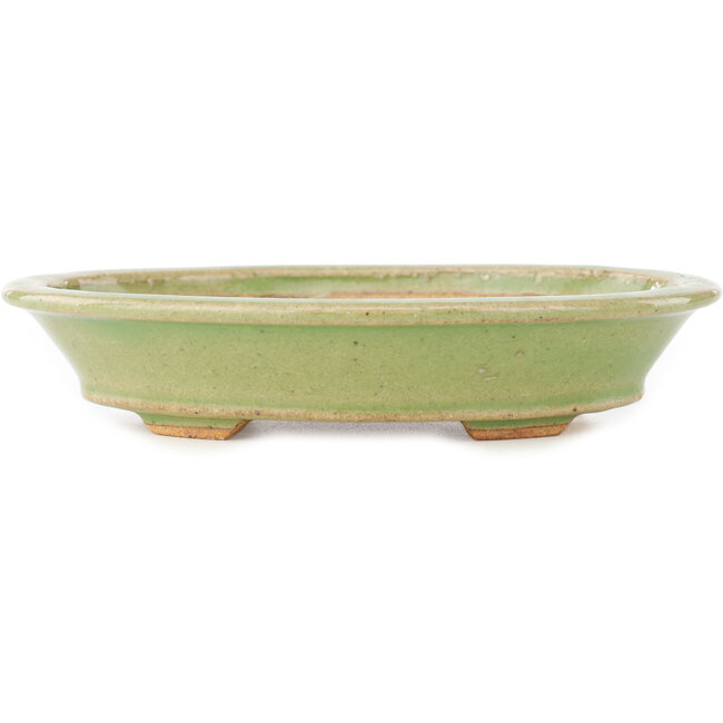 Ovale groene bonsai pot van Hattori - 167 x 130 x 35 mm
