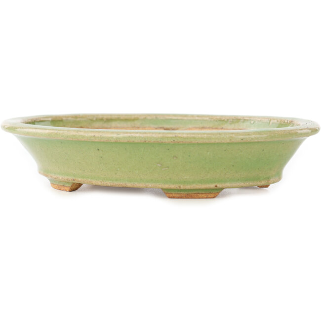 Ovale groene bonsai pot van Hattori - 167 x 130 x 35 mm
