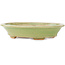 Pot à bonsaï ovale vert de Hattori - 167 x 130 x 35 mm