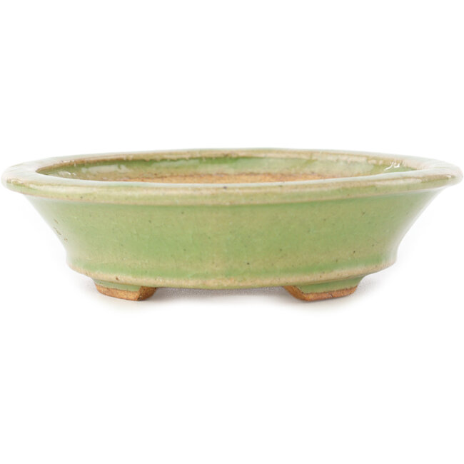 Oval green bonsai pot by Hattori - 167 x 130 x 35 mm