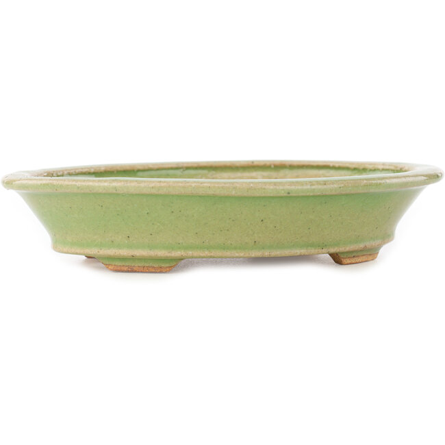 Ovale groene bonsai pot van Hattori - 167 x 130 x 35 mm
