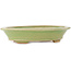 Maceta ovalada verde para bonsái de Hattori - 167 x 130 x 35 mm