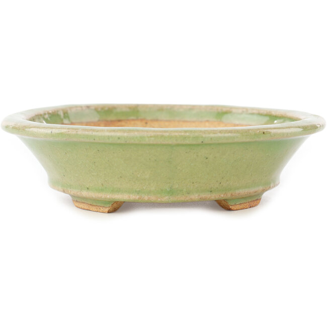 Maceta ovalada verde para bonsái de Hattori - 167 x 130 x 35 mm