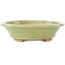 Maceta ovalada verde para bonsái de Hattori - 167 x 130 x 35 mm