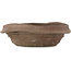 Oval unglazed bonsai pot by Bonsai - 195 x 145 x 62 mm