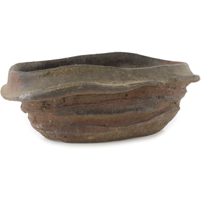Oval unglazed bonsai pot by Bonsai - 195 x 145 x 62 mm
