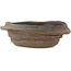 Oval unglazed bonsai pot by Bonsai - 195 x 145 x 62 mm