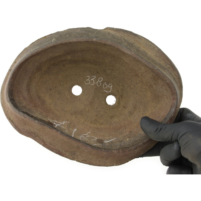 Maceta para bonsái ovalada sin esmaltar de Bonsai - 195 x 145 x 62 mm