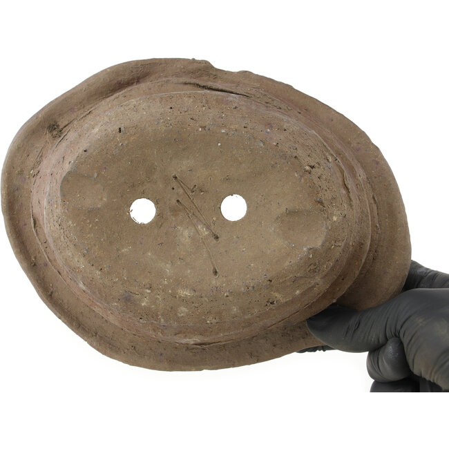Oval unglazed bonsai pot by Bonsai - 195 x 145 x 62 mm