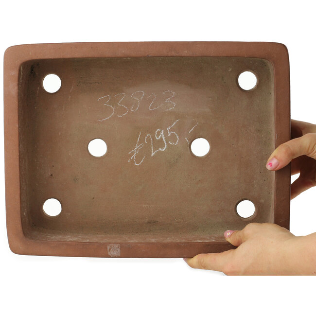 Maceta rectangular sin esmaltar para bonsái de Kizan - 325 x 245 x 85 mm