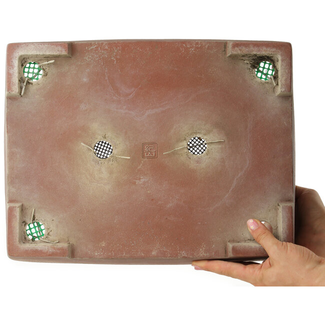 Maceta rectangular sin esmaltar para bonsái de Kizan - 382 x 300 x 95 mm
