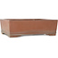 Maceta rectangular sin esmaltar para bonsái de Kizan - 385 x 290 x 105 mm