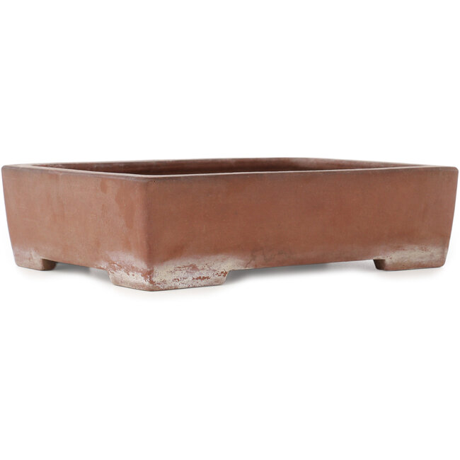 Vaso bonsai rettangolare non smaltato di Kizan - 320 x 243 x 83 mm