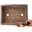 Maceta rectangular sin esmaltar para bonsái - 313 x 237 x 90 mm
