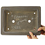 Pot à bonsaï rectangulaire non émaillé de Yamaaki - 312 x 227 x 98 mm