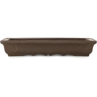  Yamaaki Maceta para bonsái rectangular sin esmaltar de 328 mm de Yamaaki, Tokoname, Japón