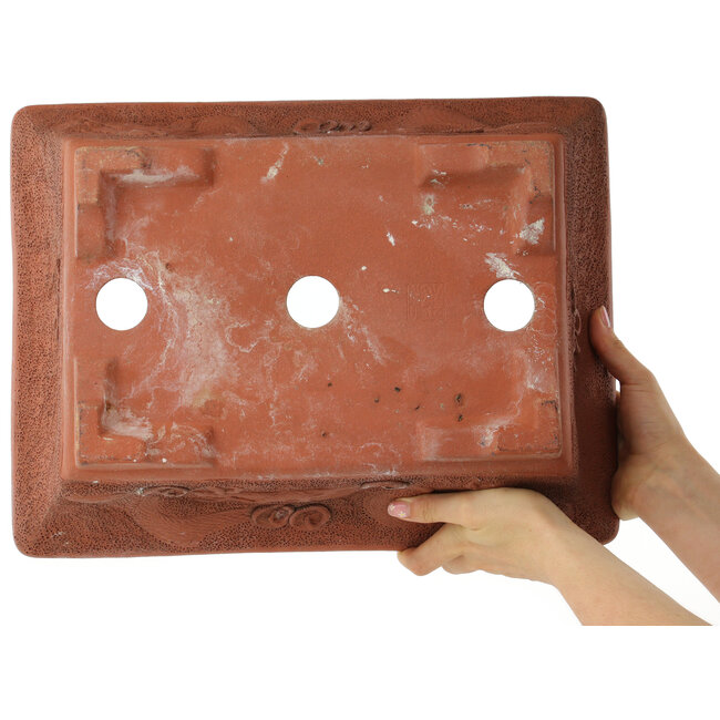 Vaso bonsai rettangolare non smaltato di Izumi - 410 x 310 x 135 mm