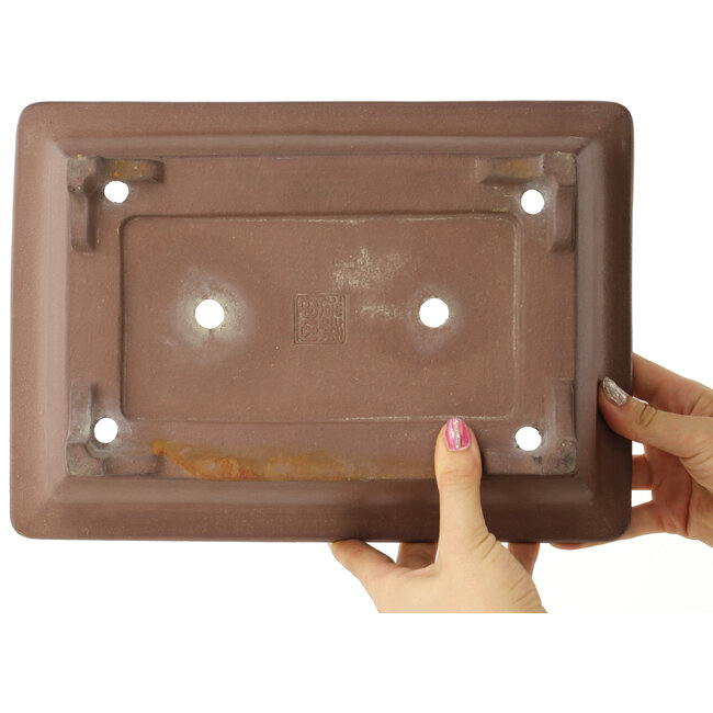 Maceta rectangular sin esmaltar para bonsái de Seizan - 308 x 220 x 93 mm