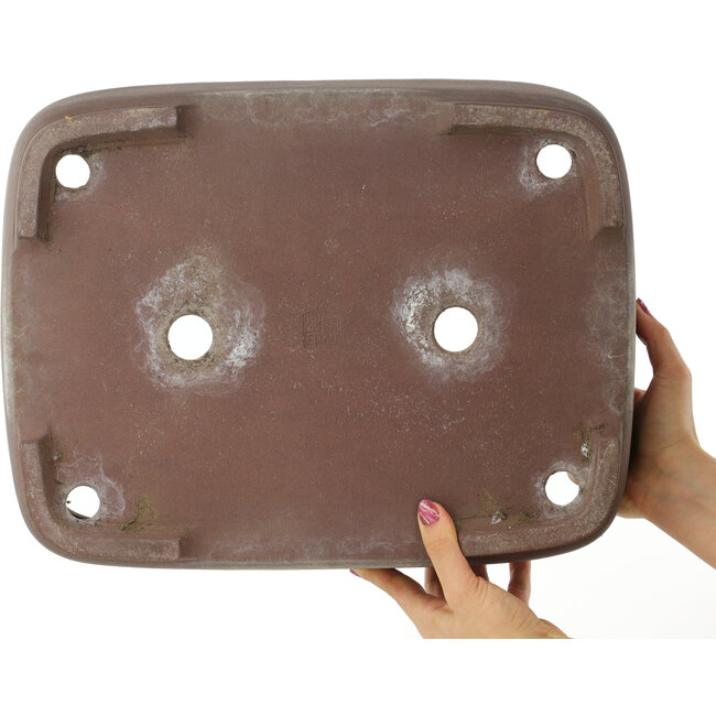 Maceta ovalada sin esmaltar para bonsái de Kisen - 408 x 312 x 110 mm