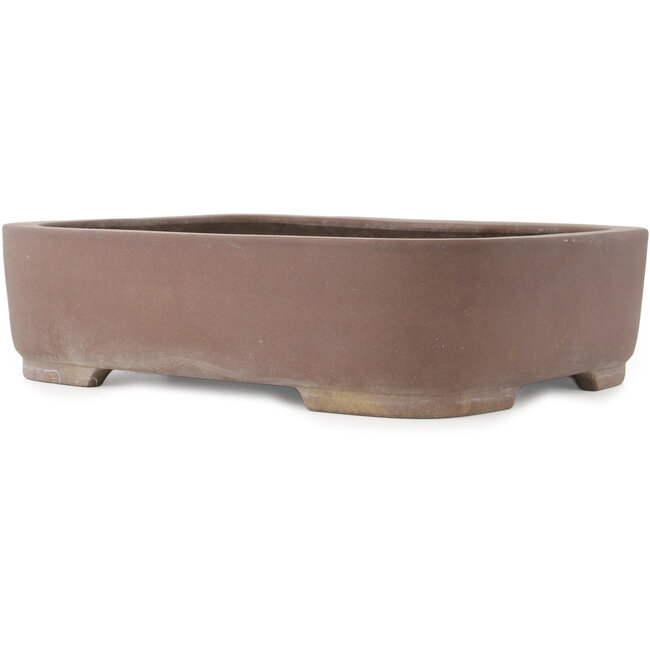 Maceta ovalada sin esmaltar para bonsái de Kisen - 480 x 355 x 120 mm