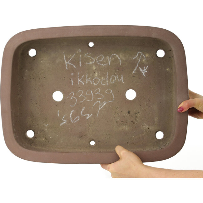 Maceta ovalada sin esmaltar para bonsái de Kisen - 480 x 355 x 120 mm