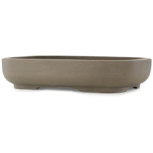 Pot à bonsaï ovale non émaillé de Seibun - 465 x 357 x 95 mm