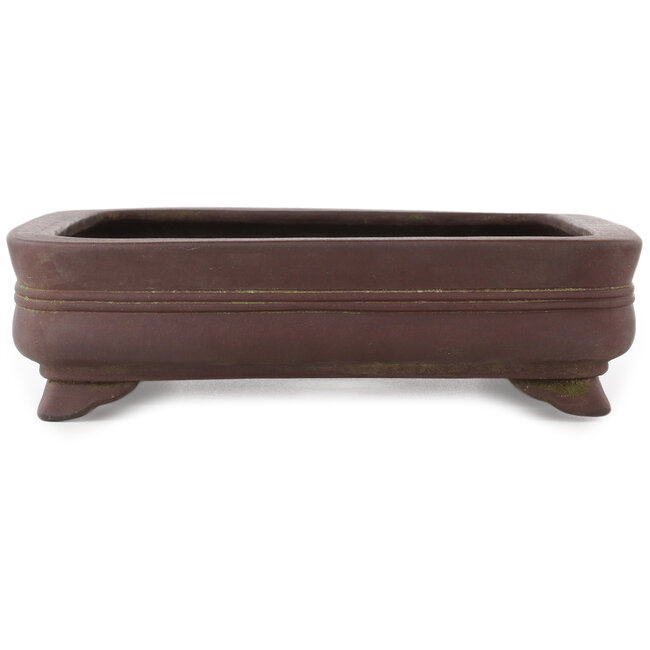Vaso bonsai rettangolare non smaltato - 390 x 312 x 85 mm