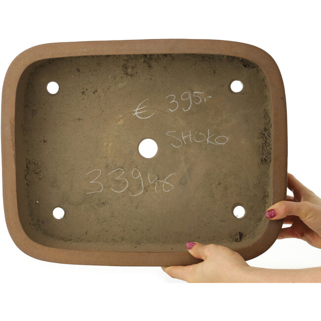 Oval unglazed bonsai pot by Shoko - 393 x 313 x 105 mm